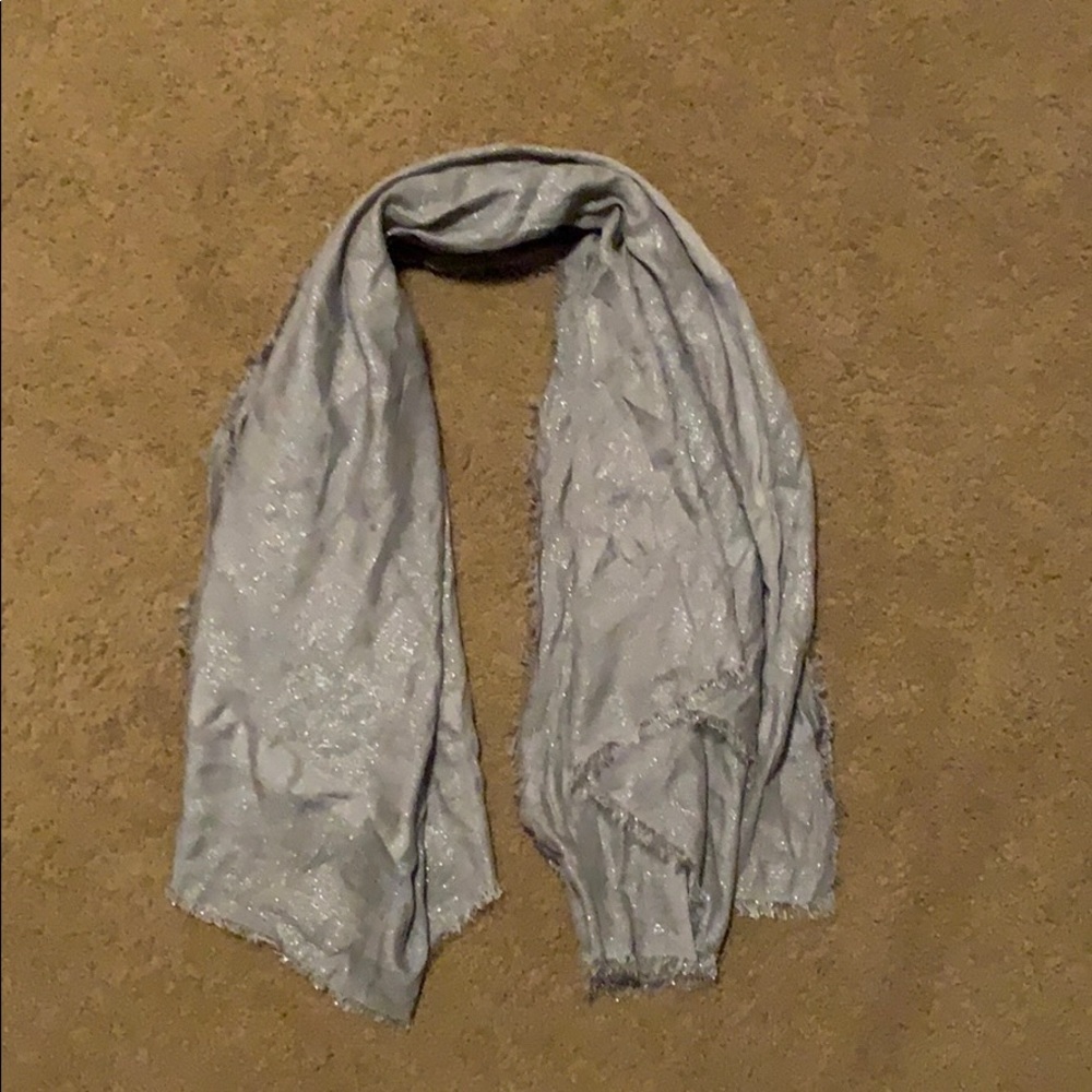 Gray/silver scarf